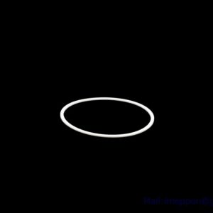 10250756