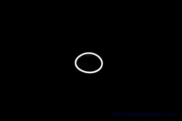 10250770
