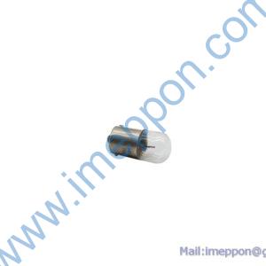 B241100000038