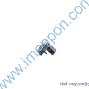B241200000191