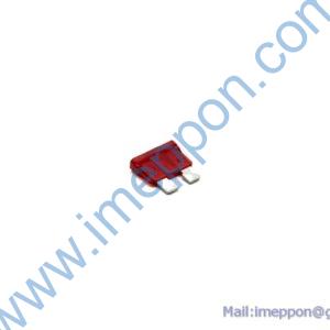 B241300000021