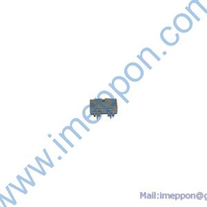 B242000000017