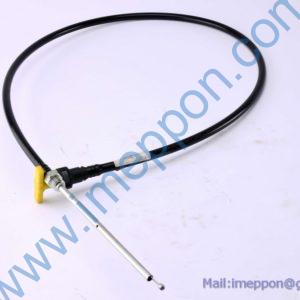 FDJ008655194