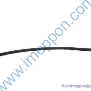 ODT005505531