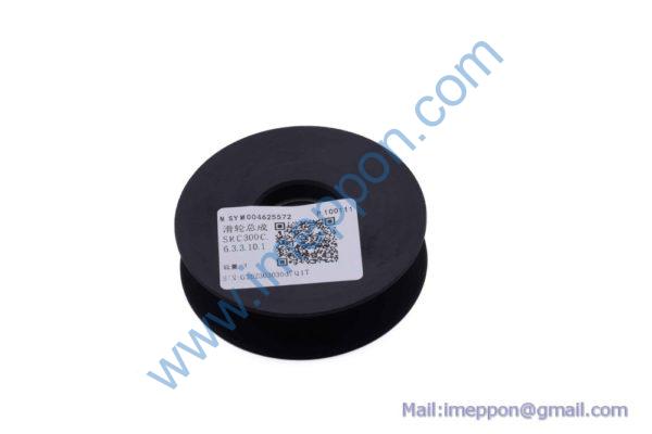SYM004625572