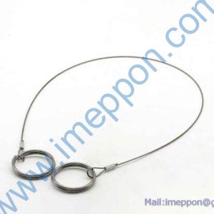 SYM006085379